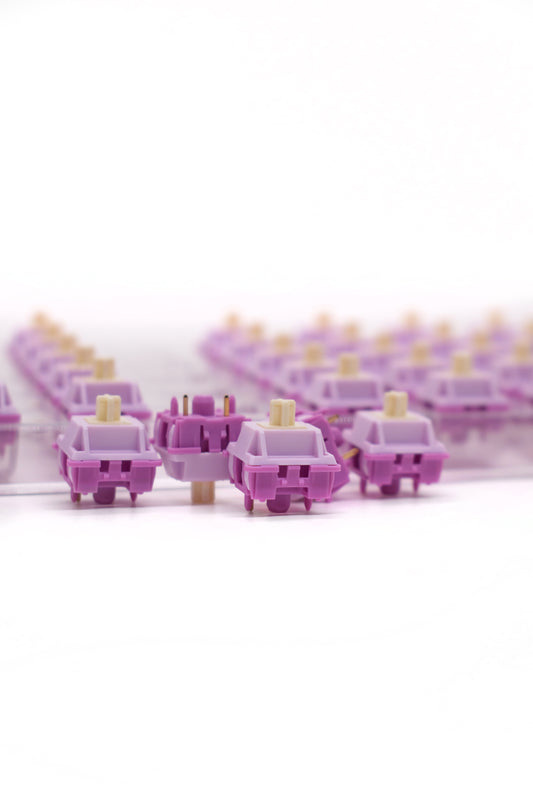 Akko Creamy Purple Pro Суичове (45 Броя) за Механична Клавиатура 5-pin - TypeHero