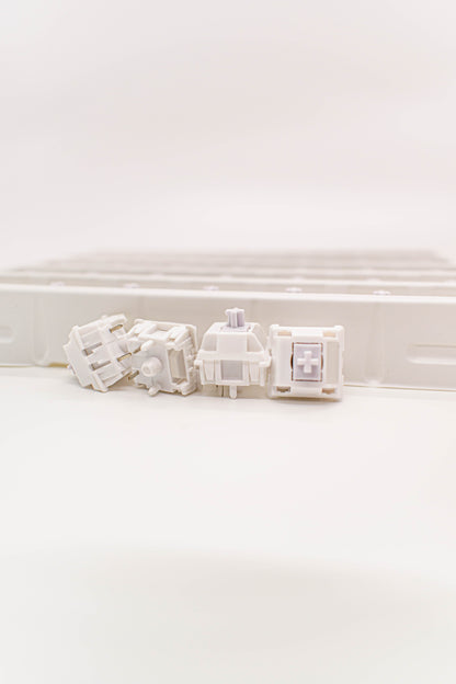 WS Morandi Линейни Суичове (кутия х35 броя) - TypeHero