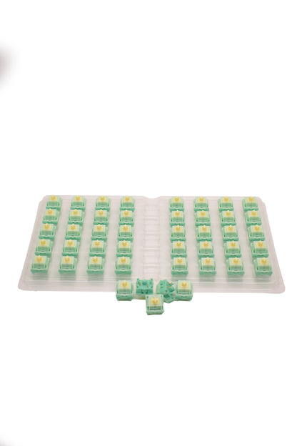 Akko x HMX Cilantro Tactile Switches (x45 box) - TypeHero