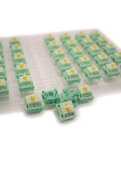 Akko x HMX Cilantro Tactile Switches (x45 box) - TypeHero