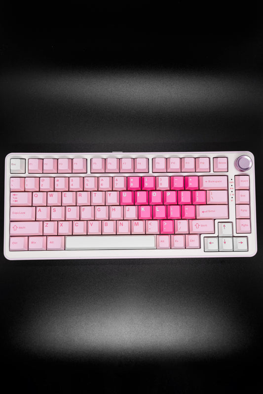 Yunzii B75 Pro Mechanical Keyboard with Volume Control Knob 75% Pre-Built