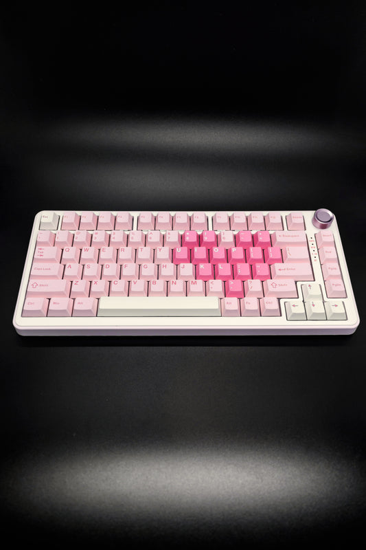 Yunzii B75 Pro Mechanical Keyboard with Volume Control Knob 75% Pre-Built