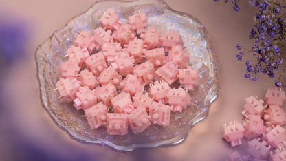 WS Pearl Linear Switches with Ball Bearings Суичове за Механична Клавиатура с Лагери (кутия х35 броя) - TypeHero