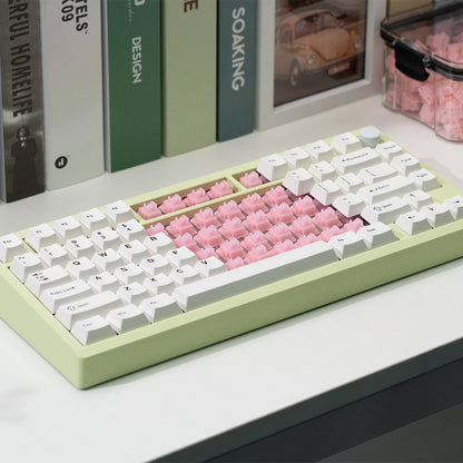 WS Pearl Linear Switches with Ball Bearings Суичове за Механична Клавиатура с Лагери (кутия х35 броя) - TypeHero